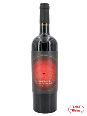 Rondeur Appassimento Vin de France rouge 2020
