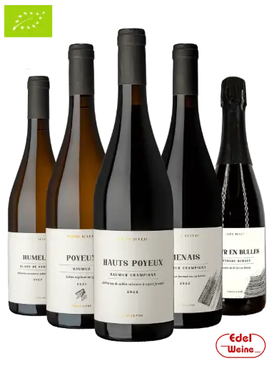 Probierpaket FABIEN DUVEAU, Saumur